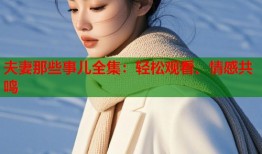 夫妻那些事儿全集：轻松观看、情感共鸣