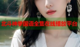 北斗神拳国语全集在线播放平台