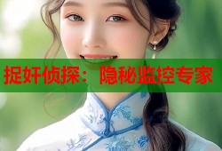 捉奸侦探：隐秘监控专家