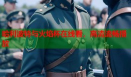 哈利波特与火焰杯在线看，高清流畅播放