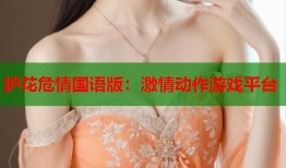护花危情国语版：激情动作游戏平台