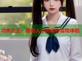 功夫之王：激动人心的动作冒险体验