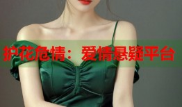 护花危情：爱情悬疑平台