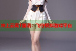冲上云霄1国语：飞行模拟游戏平台