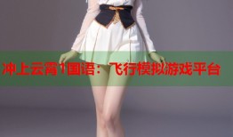 冲上云霄1国语：飞行模拟游戏平台