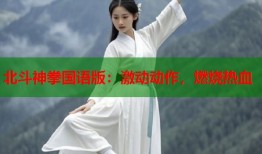 北斗神拳国语版：激动动作，燃烧热血