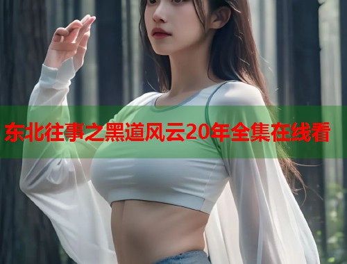 东北往事之黑道风云20年全集在线看