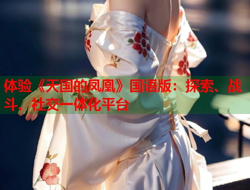 体验《天国的凤凰》国语版：探索、战斗、社交一体化平台