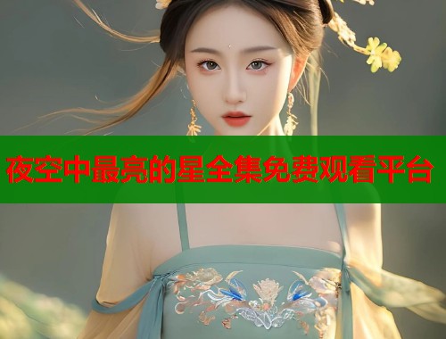 夜空中最亮的星全集免费观看平台