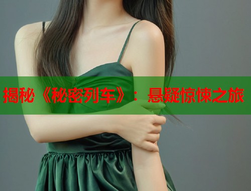 揭秘《秘密列车》：悬疑惊悚之旅