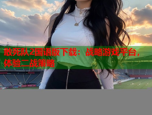 敢死队2国语版下载：战略游戏平台，体验二战策略